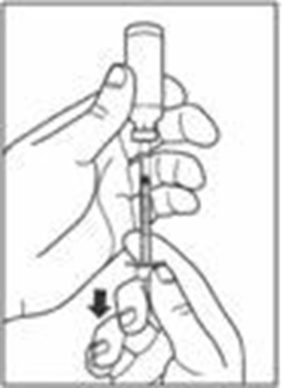 Image Of How To Draw Step 8 (Image 8)